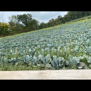 Meet your Posher, Avery